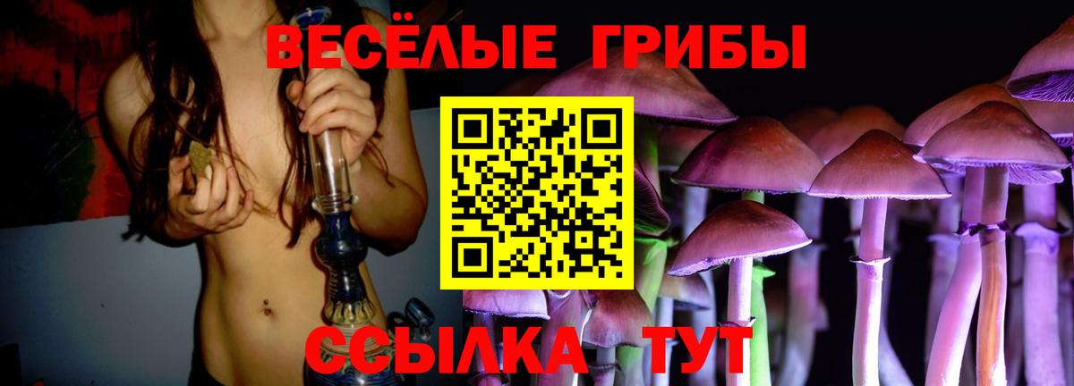 Псилоцибиновые грибы мицелий  Вход с VPN  Можга 